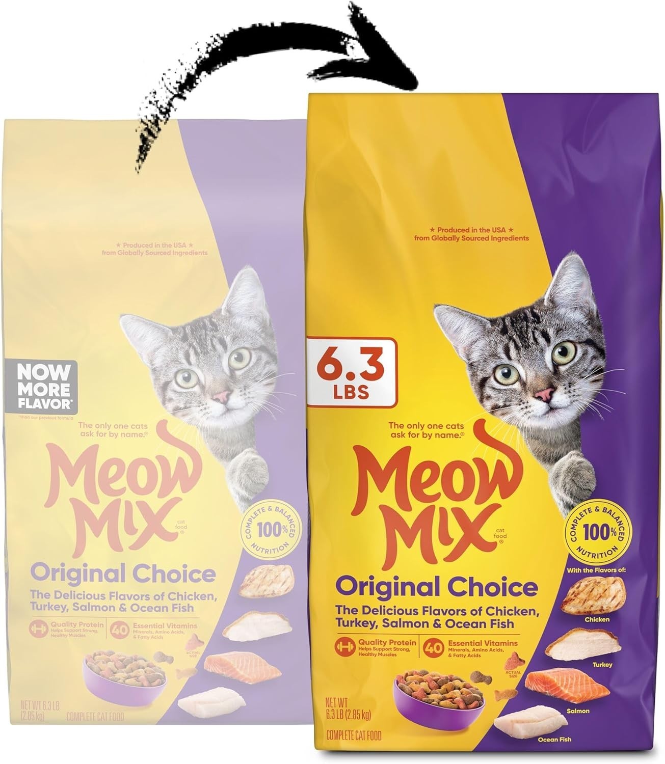 All Life Stages Choice Dry Cat Food, 6.3 lb – Made in the U.S.A.