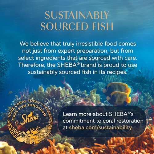 Sheba Perfect Portions Wet Cat Food Salmon Cuts in Gravy 24 Pack 2.6 oz Trays