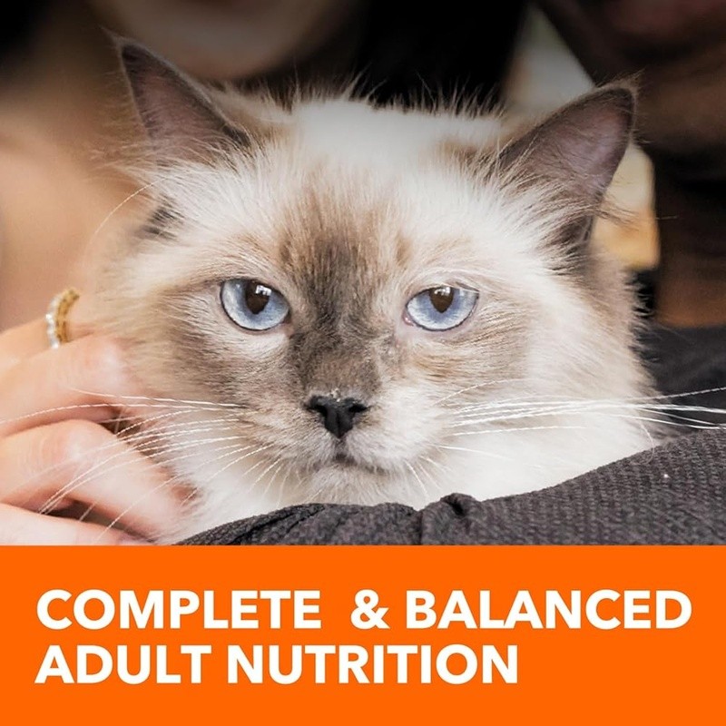 Adult Cat Food Dry Kibble Chicken Flavor Digestive Health Skin Coat Heart Care