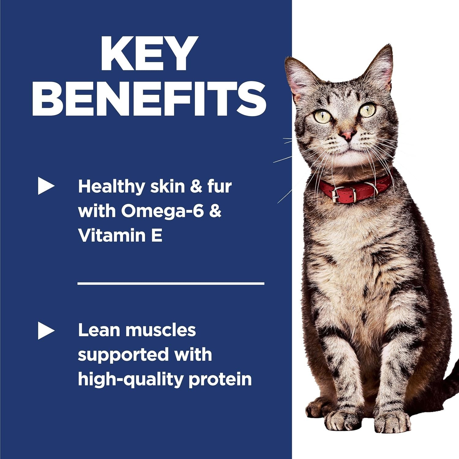 Adult 1-6 Dry Cat Food | Veterinarian Recommended, Chicken Recipe, 4 lb. Bag
