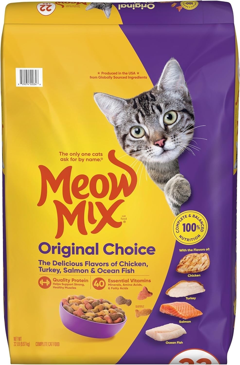 Dry Cat Food 22Lb Nutritional Support for All Breeds with High-Quality Protein