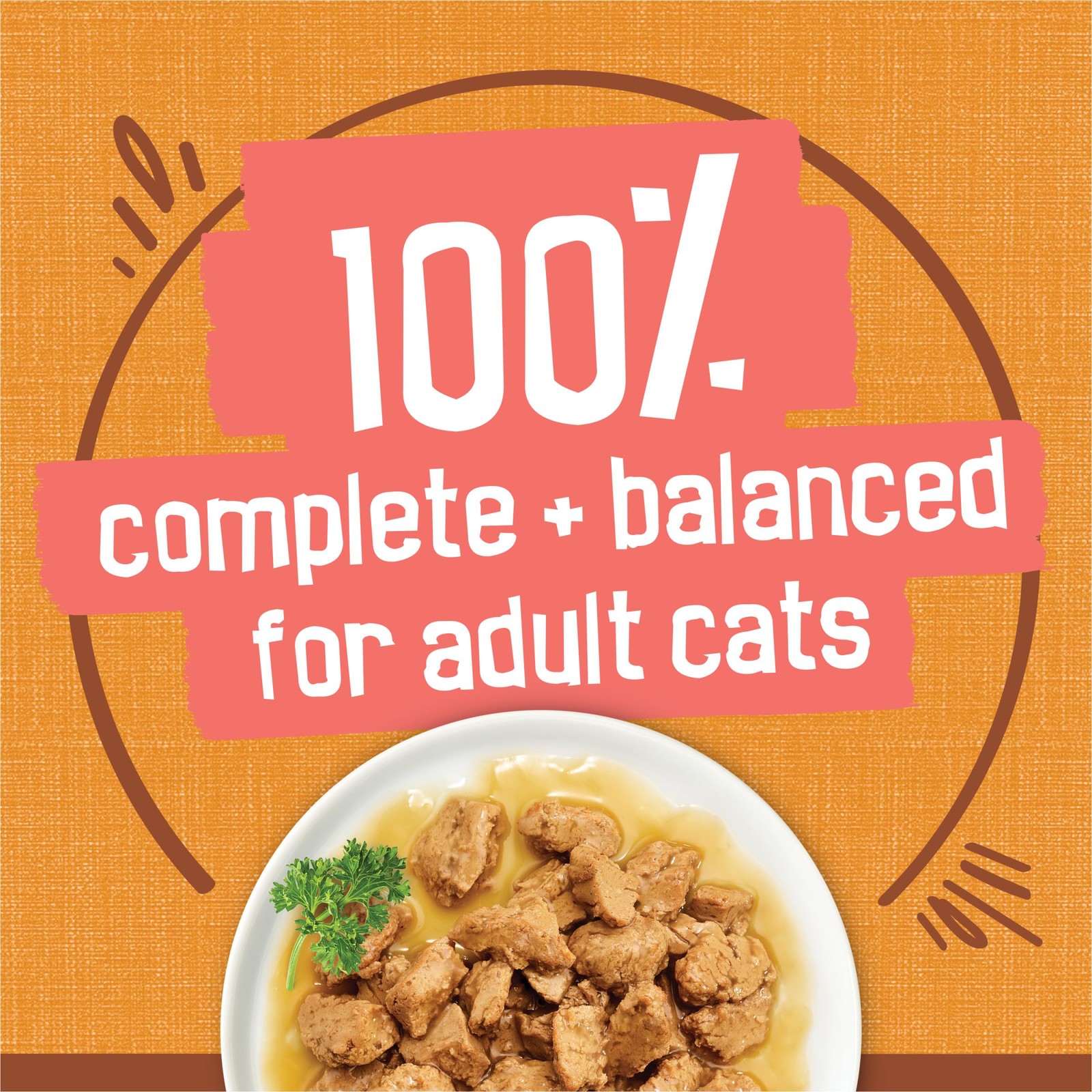 Purina Friskies Extra Gravy Wet Cat Food Chunky Chicken Savory Gravy 24x 5.5oz