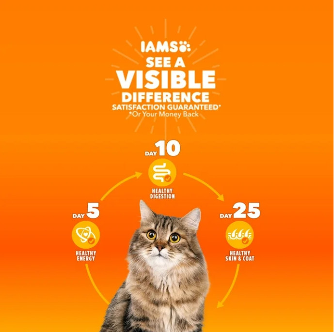 Iams Proactive Health Chicken and Turkey Dry Cat Food, 22 lb