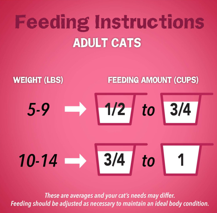 Original Purina Friskies Gravy Swirlers 100 Complete Dry Cat Food 22 LB