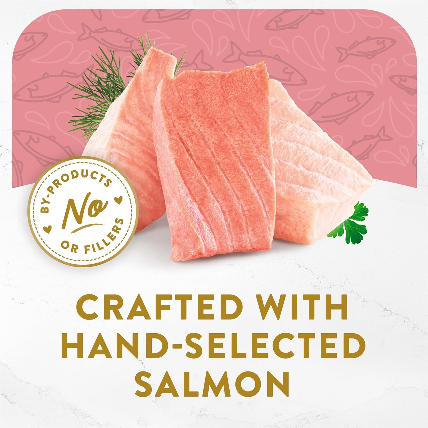 Delicate Broth Salmon Cat Treat – Grain-Free Gourmet 10 Pack of 1.1 oz Trays