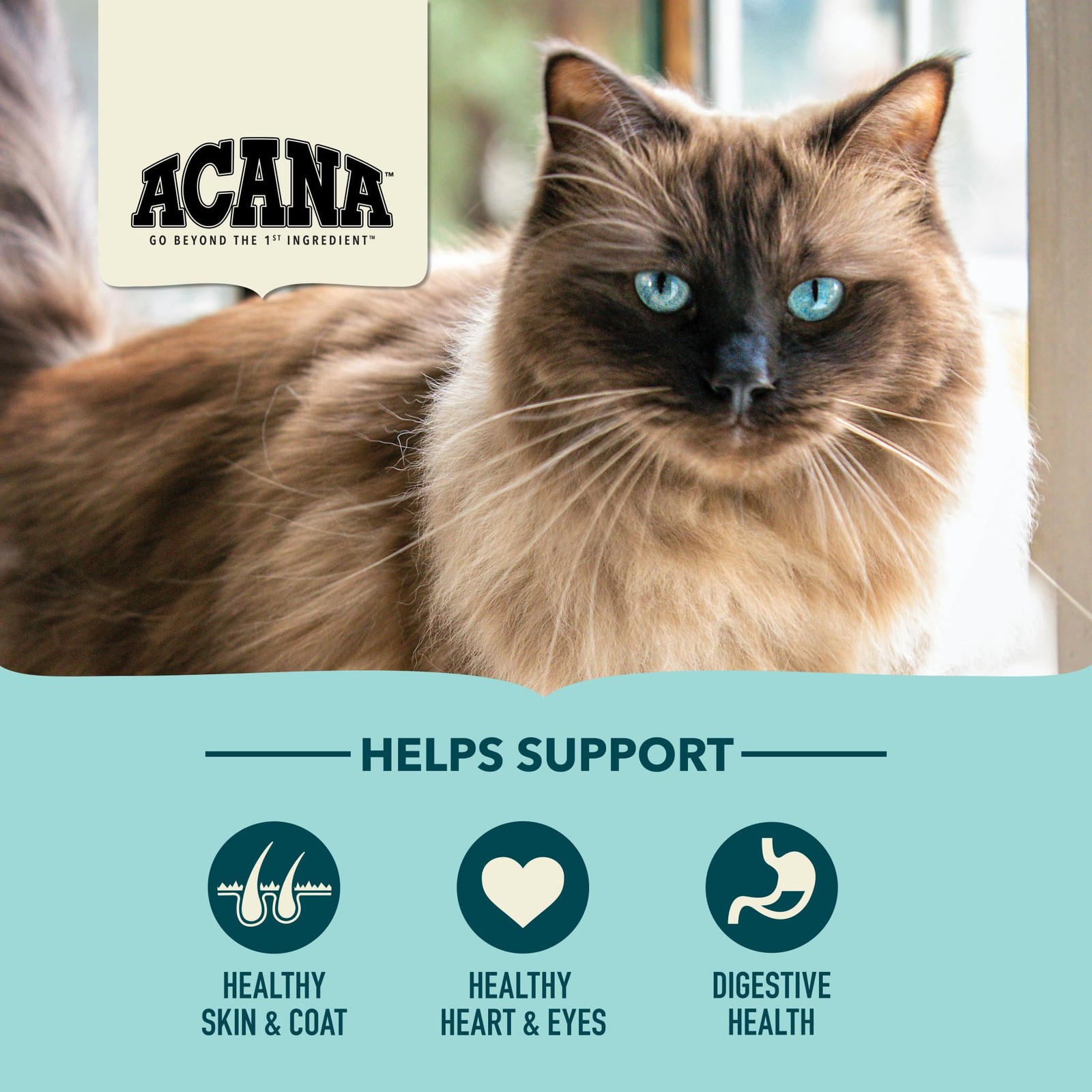 ACANA Dry Cat Food Bountiful Catch Salmon Catfish 10 Pound (Pack of 1), Teal