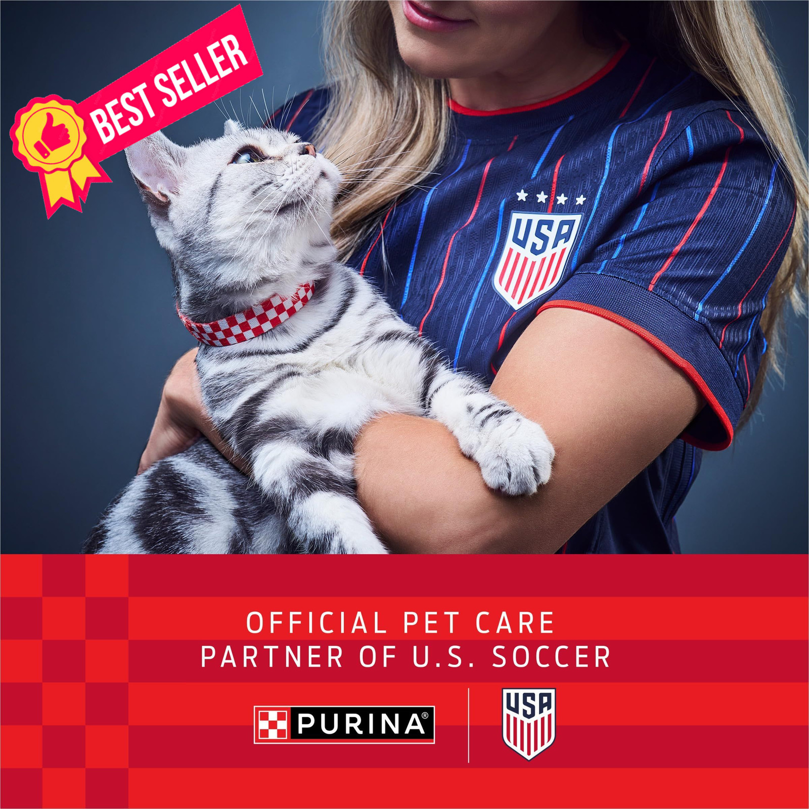 Purina ONE Natural Dry Cat Food, Tender Selects 16 Pound (Pack of 1), Other