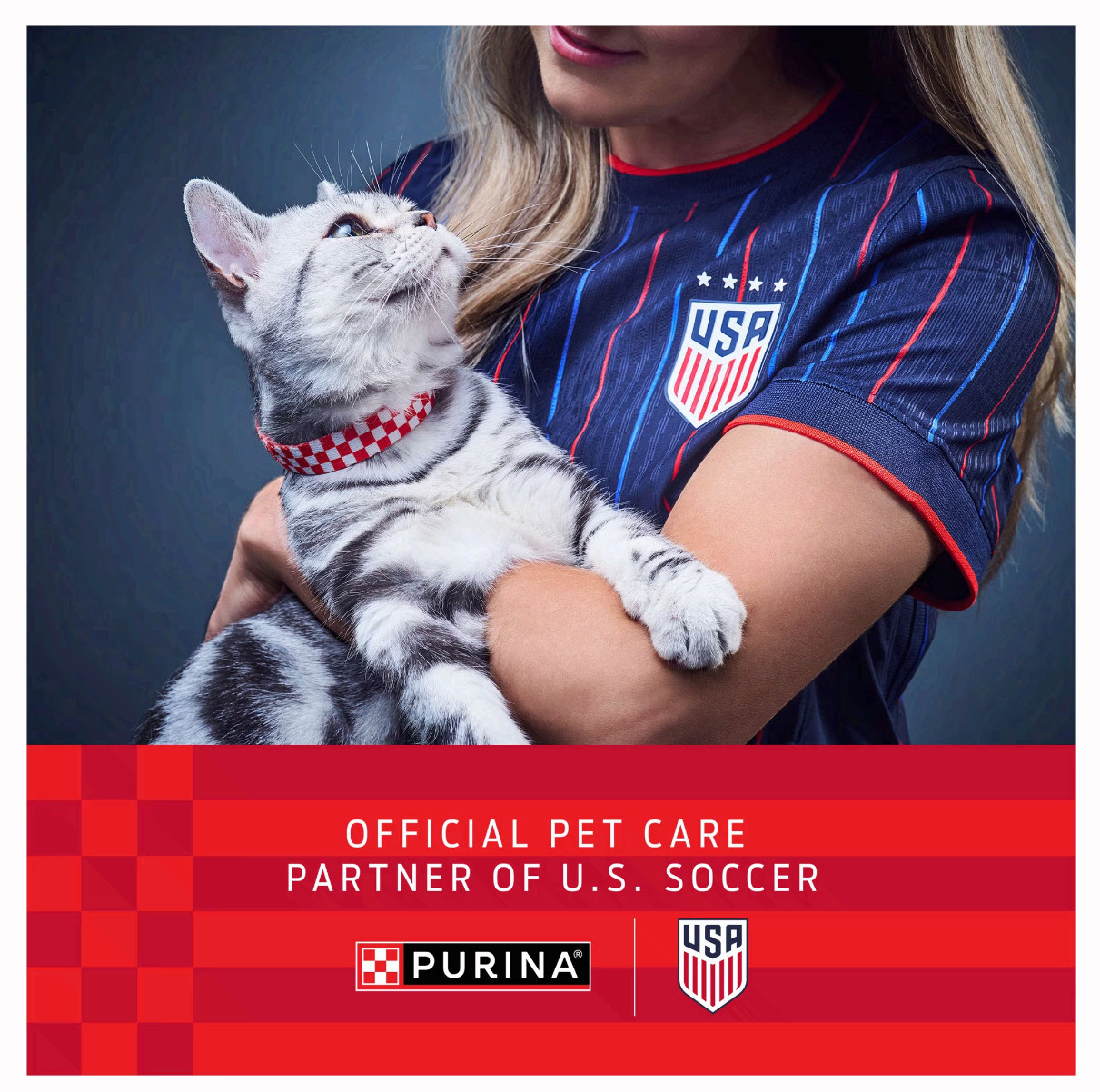 Purina Kit & Kaboodle Dry Cat Food 30 lb Bag Chicken Liver Turkey 2 Pack Bulk