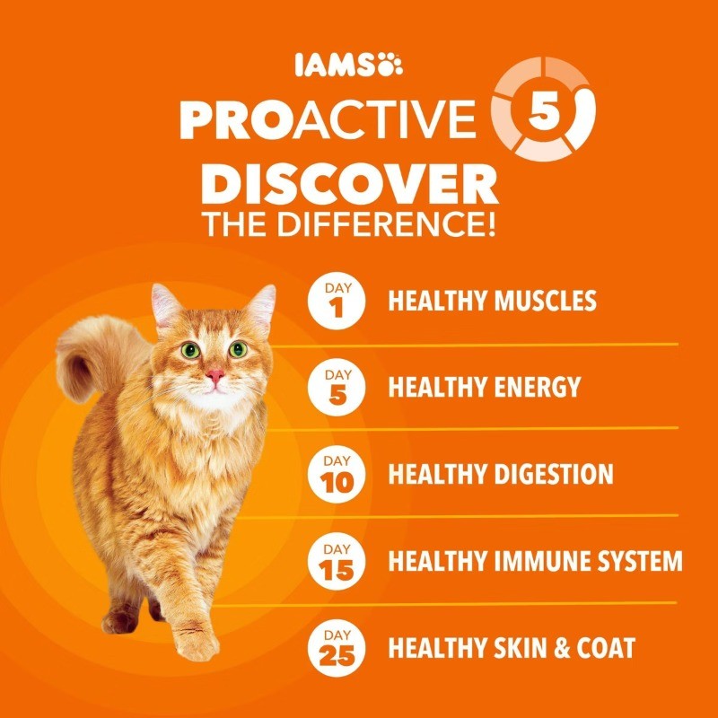 IAMS Proactive Health with Salmon Adult Premium Dry Cat Food – 16lbs