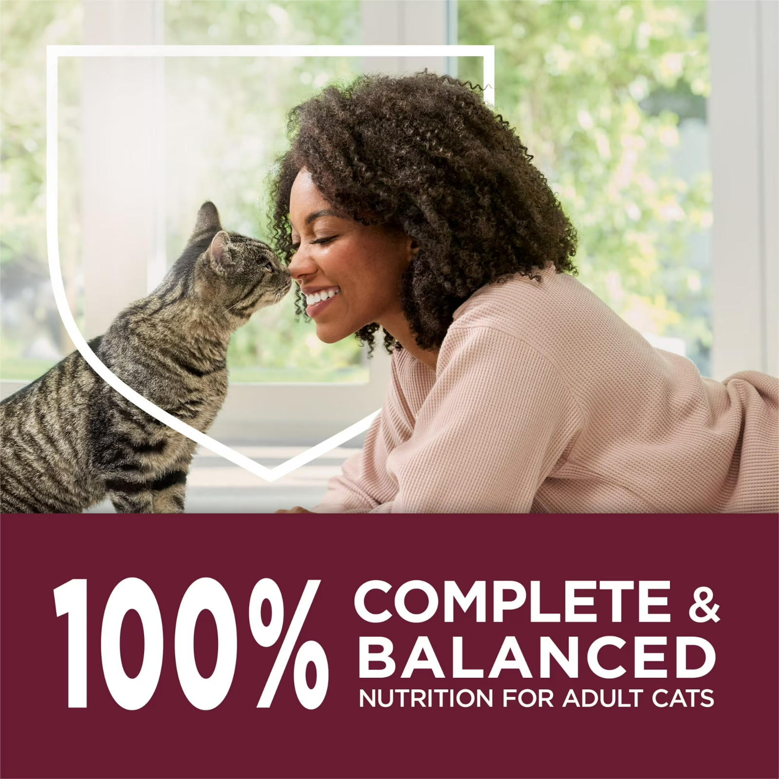 3 Pack Purina Cat Chow Healthy Aging 7+ Senior Dry Cat Food, Chicken, 14 lb. Bag