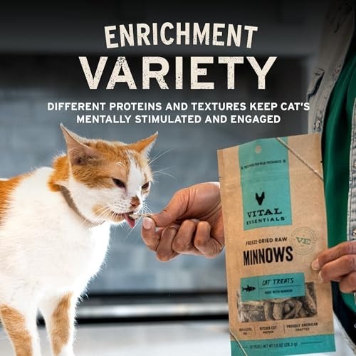 Chicken Hearts Cat Treats, 1 Oz | Freeze-Dried Raw | Single Ingredient | Grain F