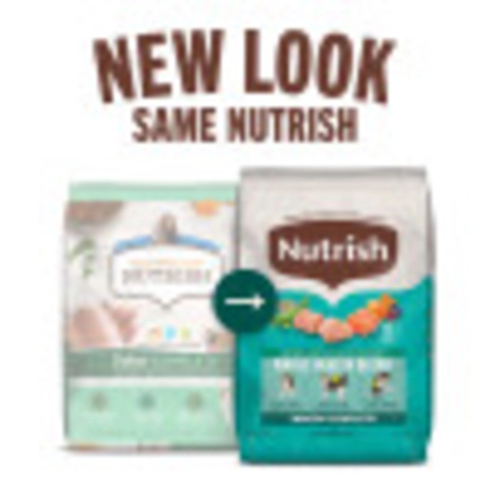 Dry Cat Food Indoor Complete Recipe with Chicken Lentils Salmon 3 lb Bag