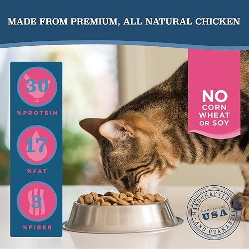 Blackwood Dry Cat Food, Adult Formula, Chicken Meal & 4 Pound (Pack of 1)