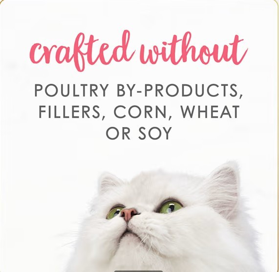 Fancy Feast Grain Free Gourmet Naturals Salmon Pate Wet Kitten Food 3 oz, 48 Can