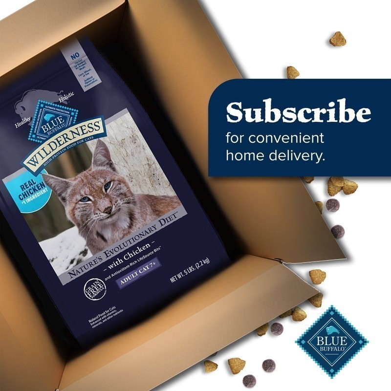 High Protein Grain Free Dry Cat Food Adults Chicken 4lb Antioxidant Support New