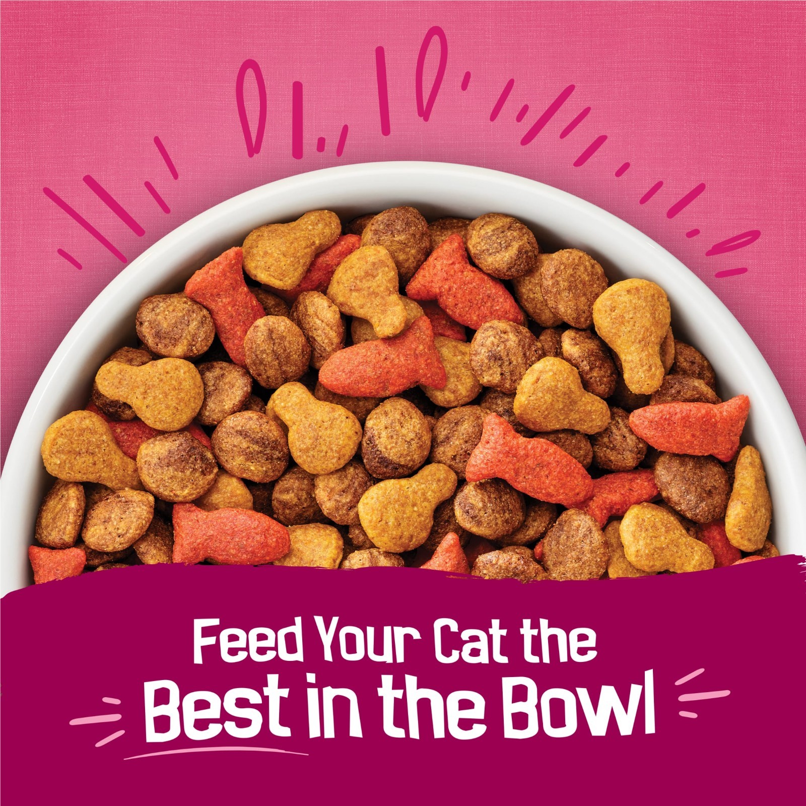 (2 pack) Purina Friskies Gravy Swirlers Dry Cat Food Flavors of Chicken, 22 lb