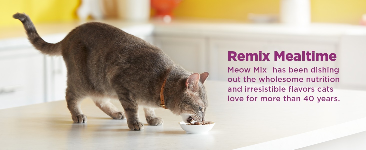 Meow Mix 2.75 Ounce Classic Favorites Variety 24 Pack (Pack of 48)