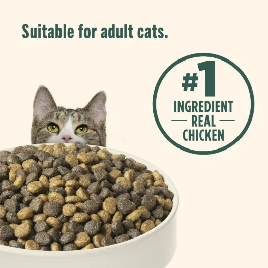 Nutrish Indoor Complete Chicken, Lentils & Salmon Recipe Dry Cat Food 14 lb. Bag
