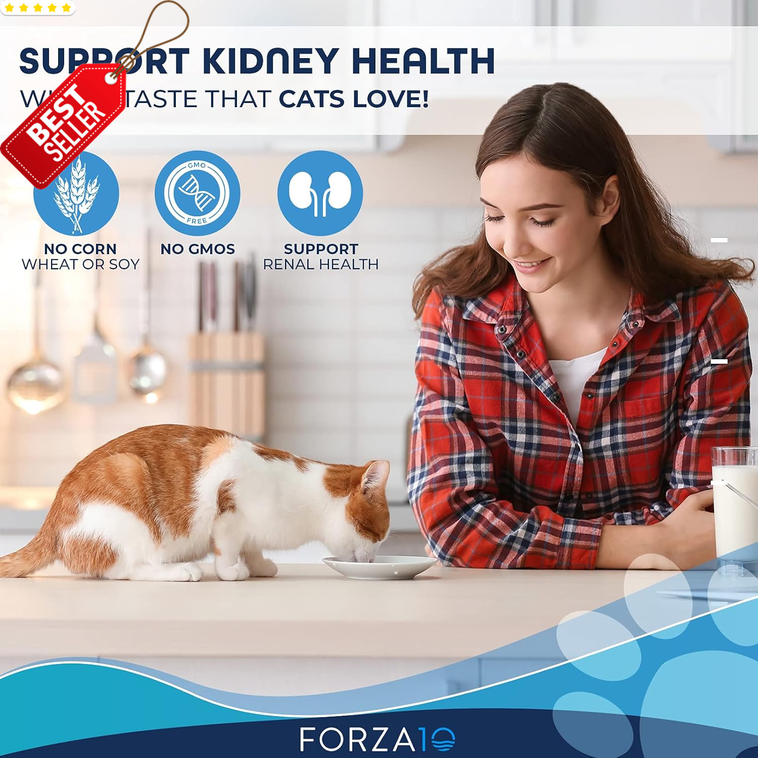 – Cat Food, Vet-Formulated Renal Wet, Non GMO, Kidney Care Food with Lamb Flavor