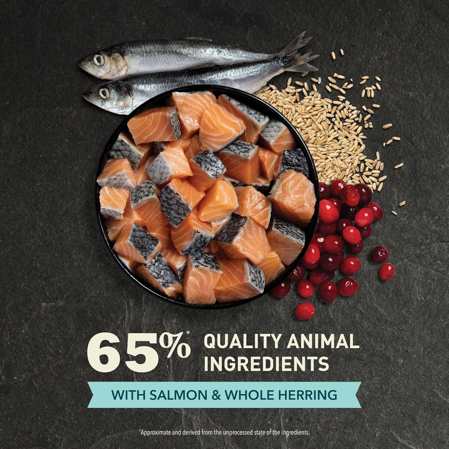 Dry Cat Food Bountiful Catch Salmon Catfish & Herring 10lb Bag