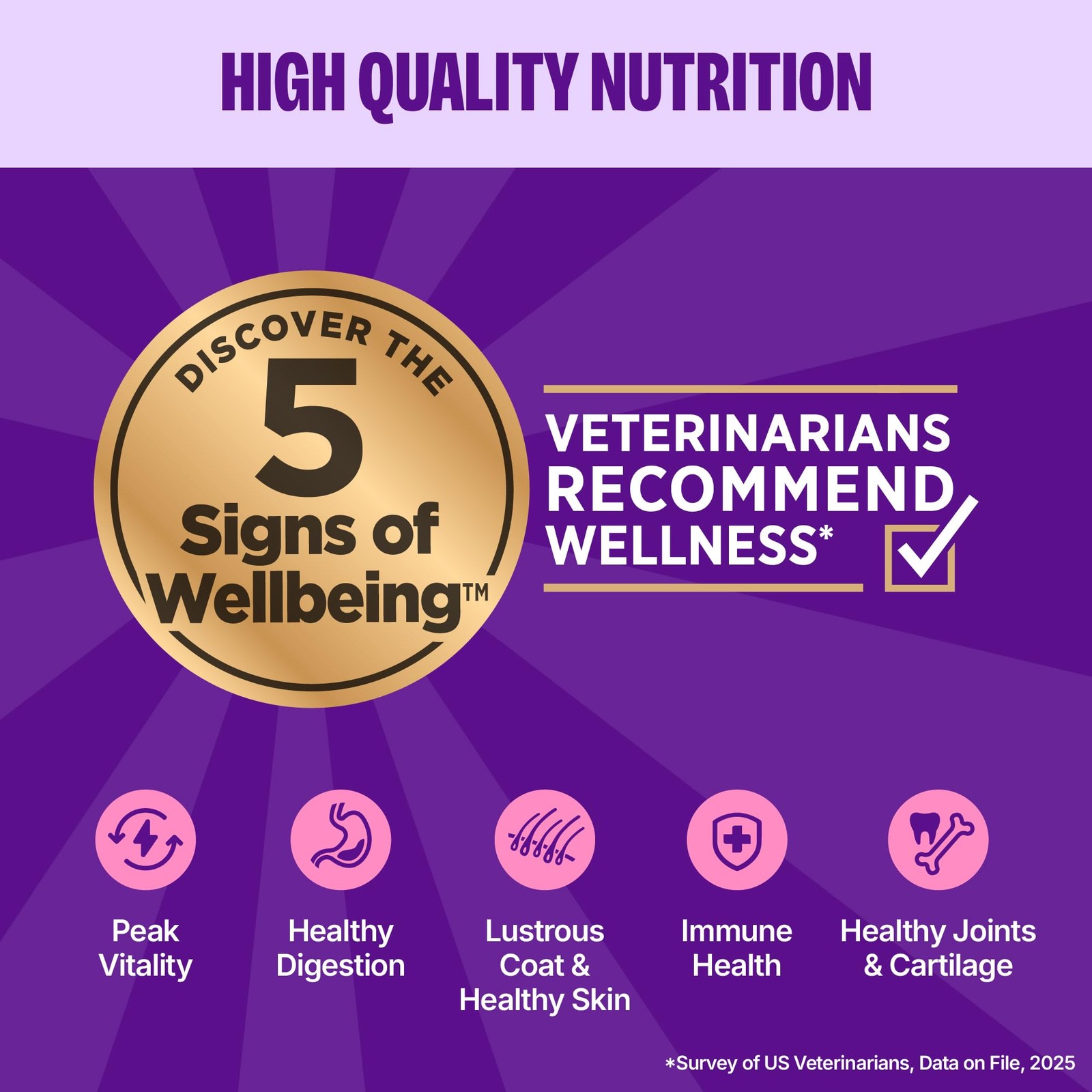 Appetizing Entrées Mousse Kitten Wet Cat Food, Natural, Protein Rich, Grain F…