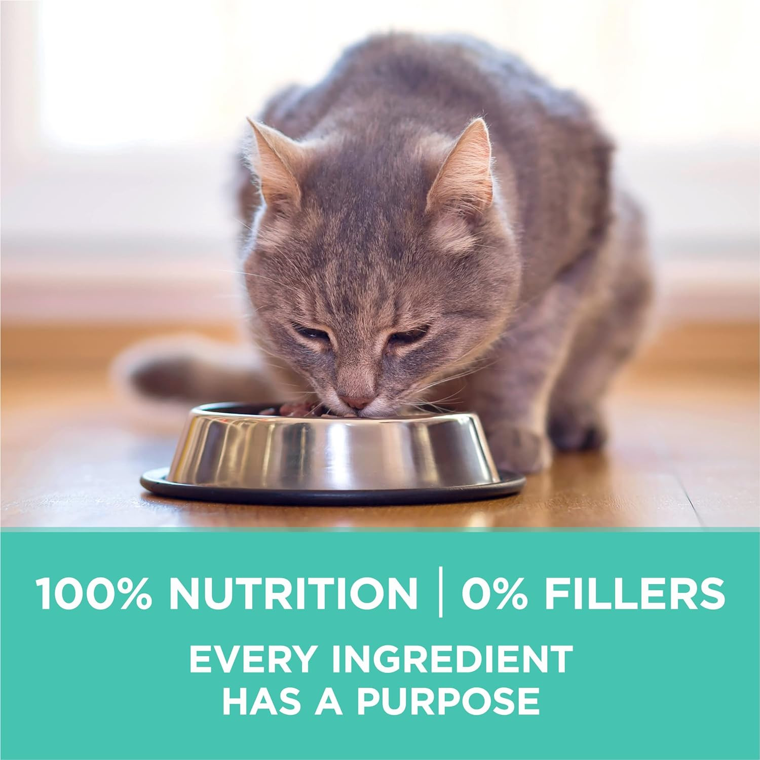 Purina ONE Sensitive Stomach, Sensitive Skin, Natural Dry Cat Food, +Plus Sensit