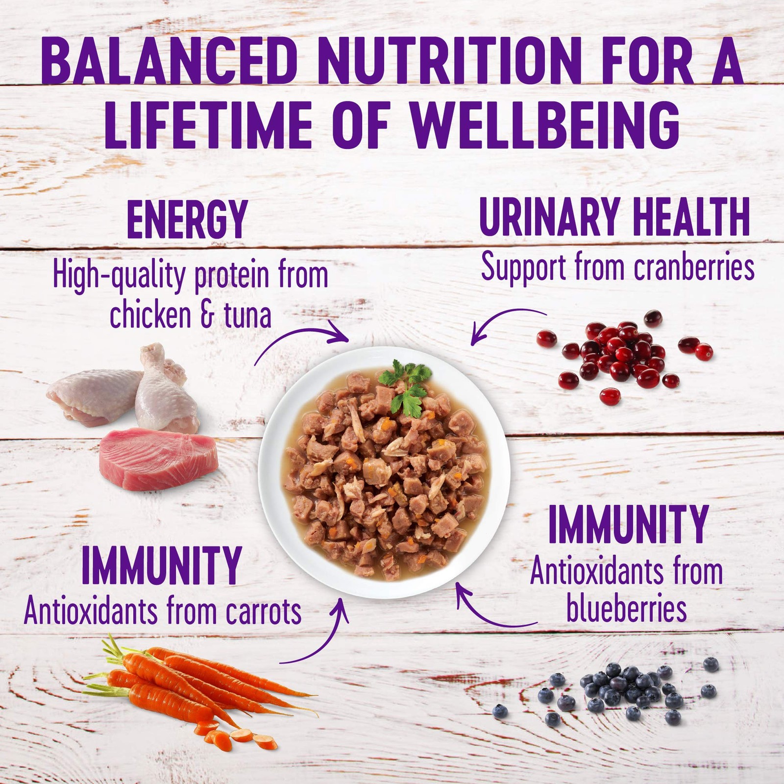Healthy Indulgence Morsels Adult Wet Cat Food, Natural, Protein-Rich, Grain-F…