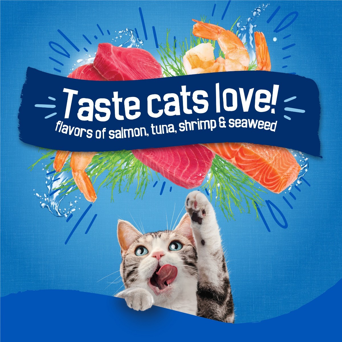Purina Friskies Seafood Sensations with Flavors of Salmon, Dry Cat Food – 16lbs