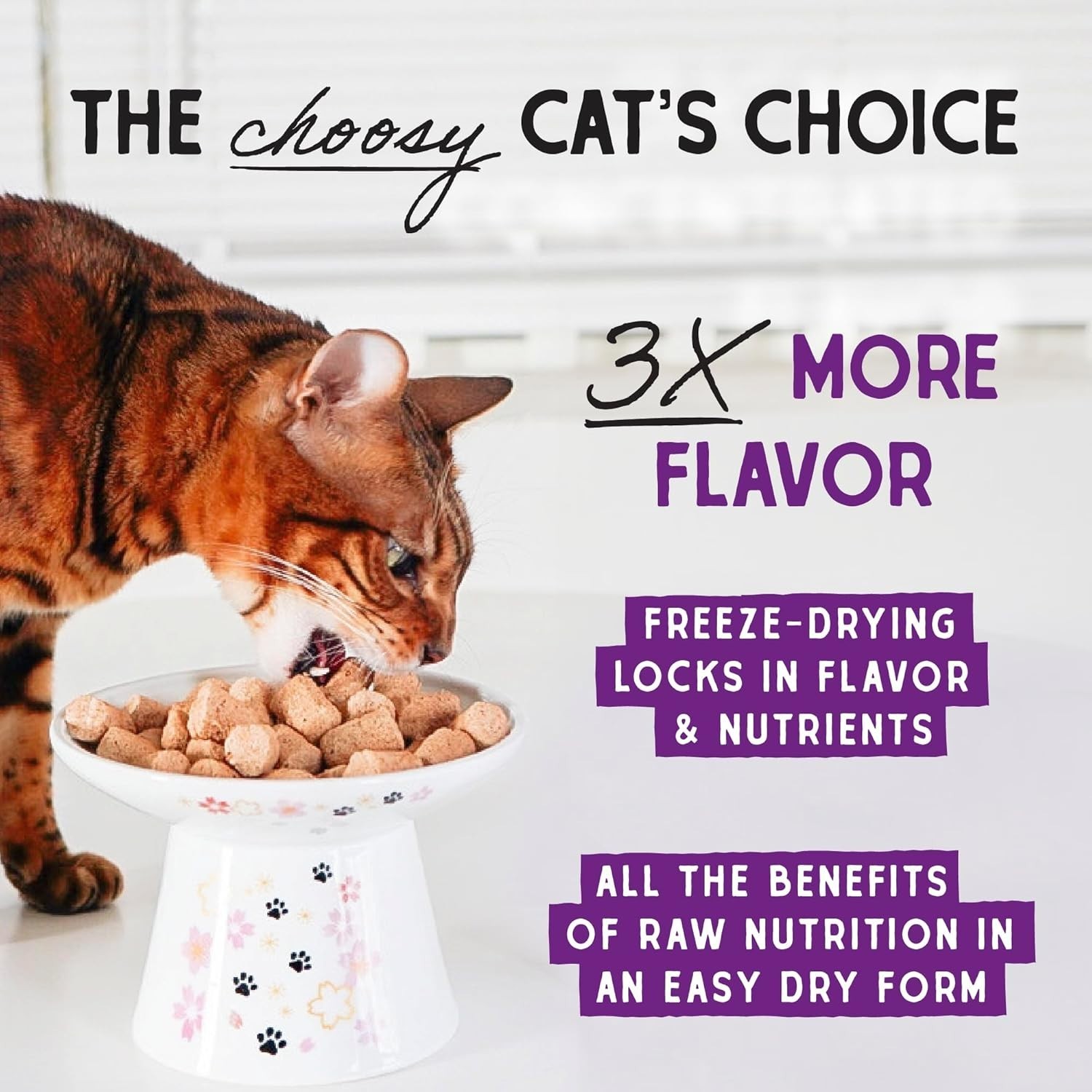 Gourmet Freeze-Dried Cat Treats – Salmon & Chicken for Healthy Skin & Coat, 1 oz