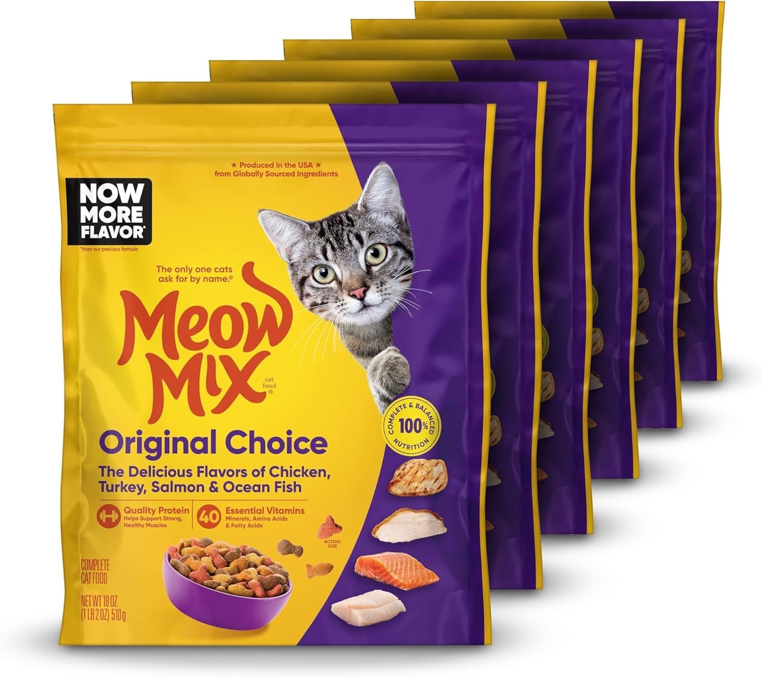 Dry Cat Food 18 oz Pack of 6 All Life Stages Balanced Nutrition Chicken