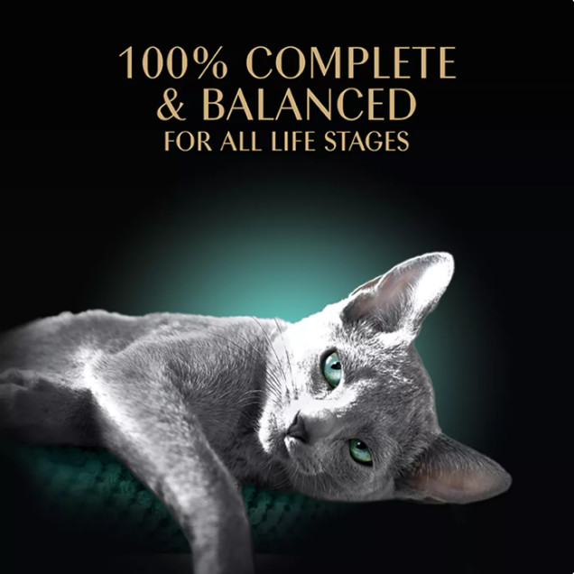 100 Pcs Sheba Perfect Portions Adult Wet Cat Food-Trout-Cuts in Gravy, 2.65 Oz