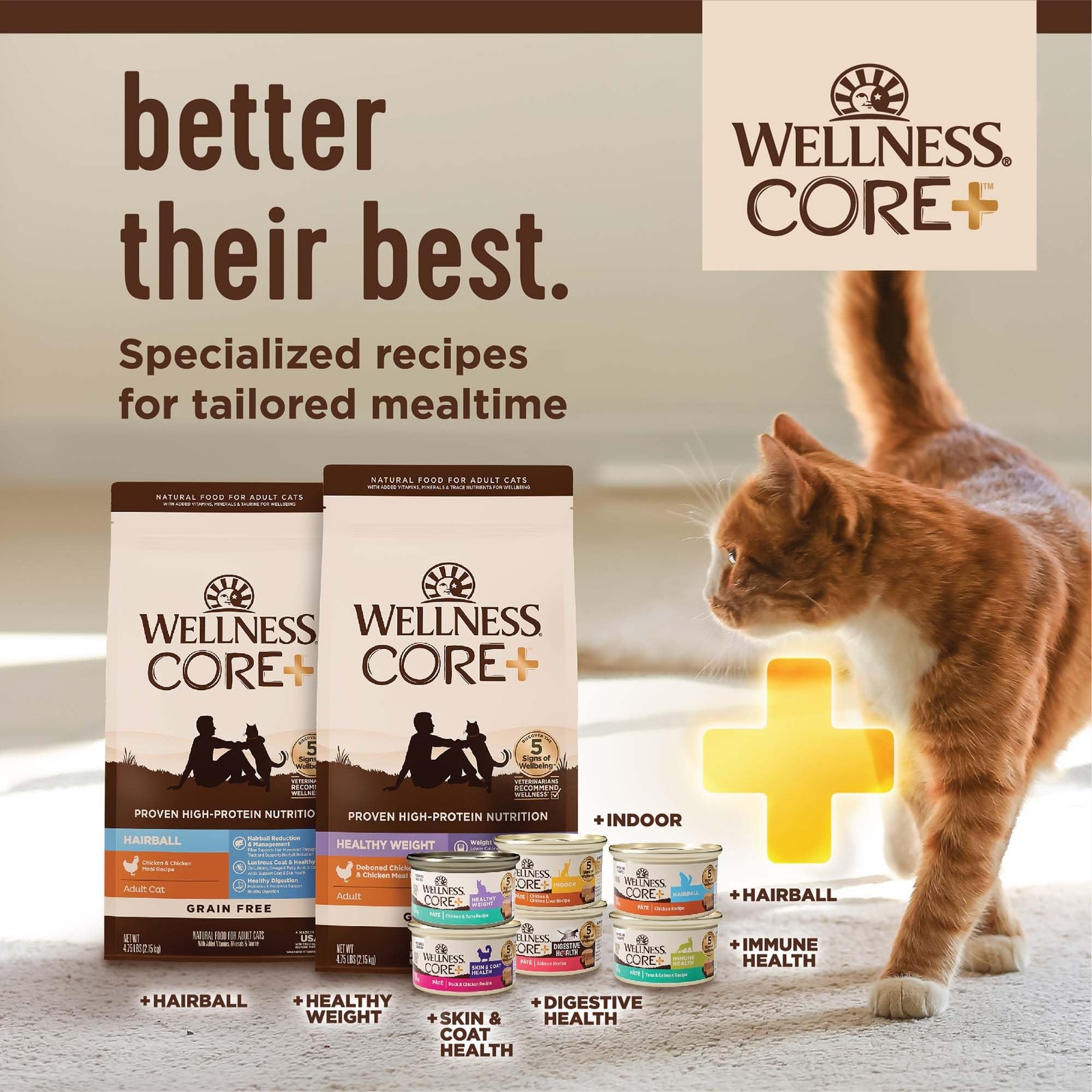 CORE+ Adult Dry Cat Food for Indoor Cats, Grain-Free, Natural, Chicken, Turke…