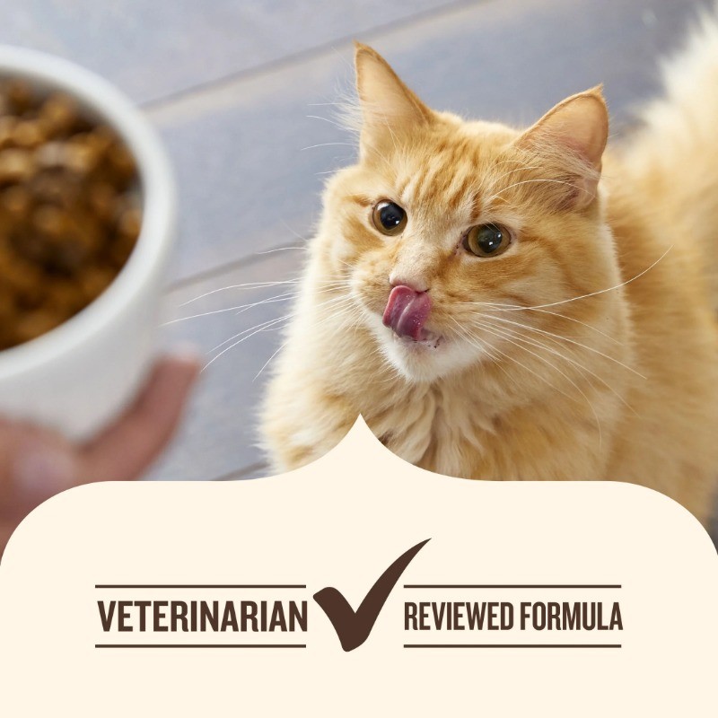 2 Bag Nutrish Indoor Complete Chicken,Lentils&Salmon Recipe Dry Cat Food, 14 lb