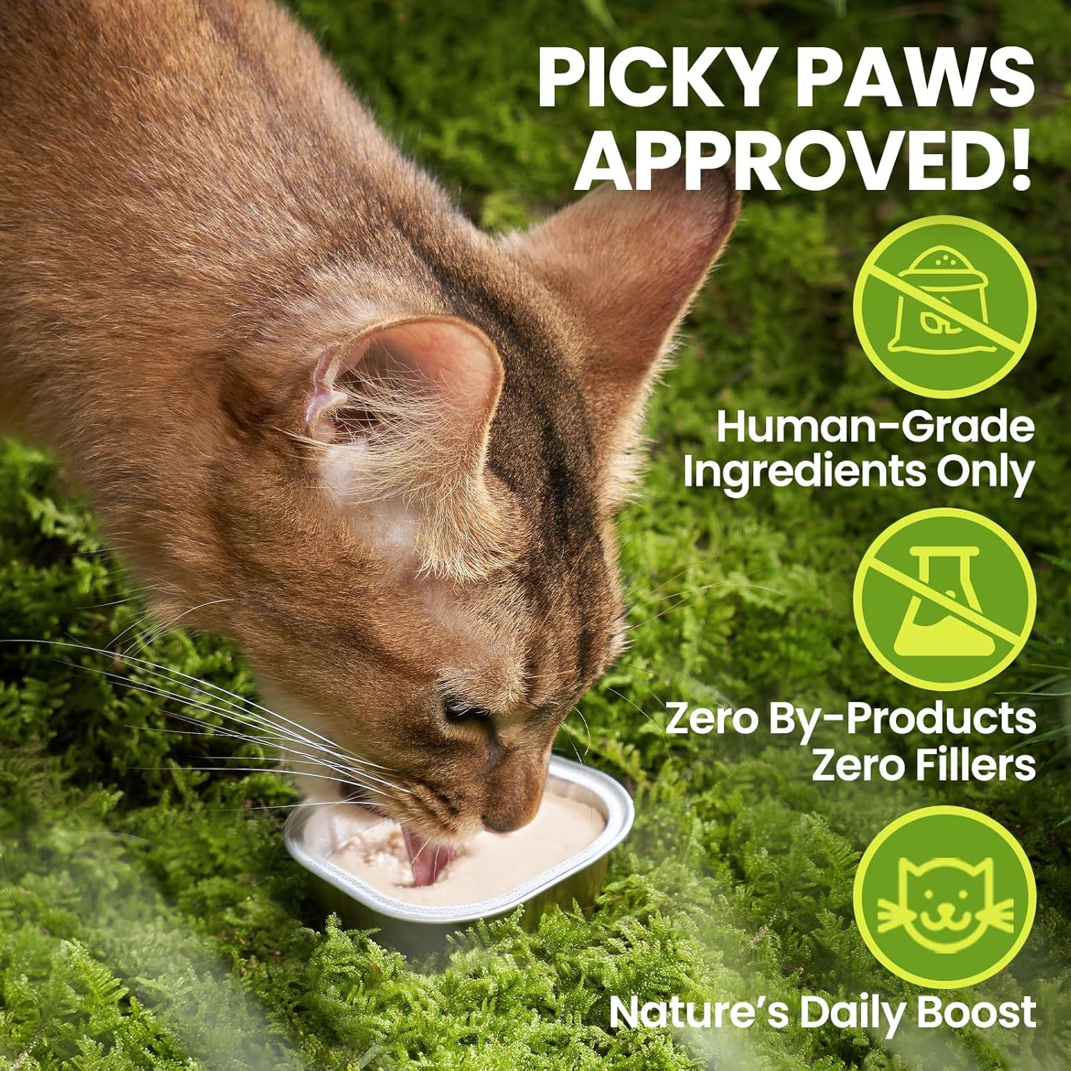 Wet Cat Food Pate, Grain Free Wet Pate for All Life Stages, Balanced Recipe Cat