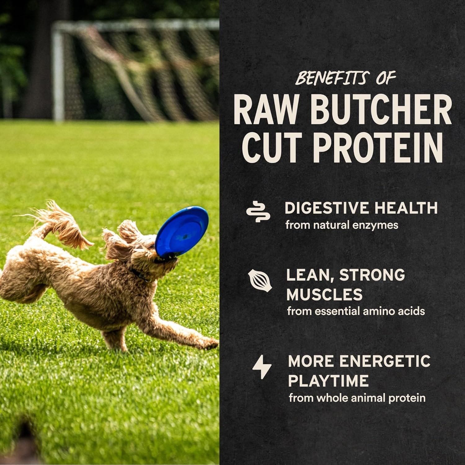 Vital Essentials Freeze Dried Dog Treats | Duck Bites, Single Protein | Premium