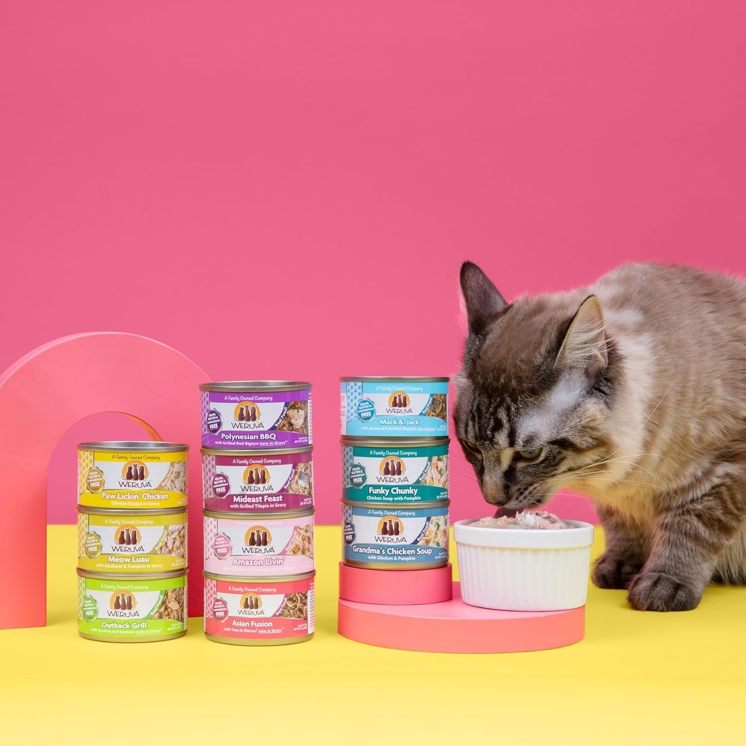 Weruva Classic Wet Cat Food Variety Pack, Paw Lickin’ Pals, 5.5oz x 24 Cans