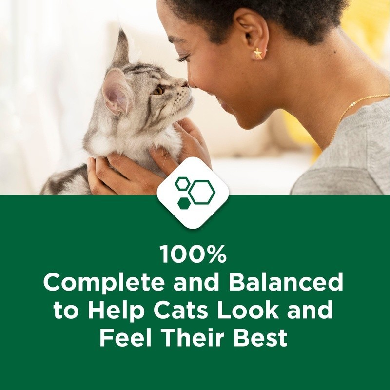 Indoor Hairball Control Healthy Weight Chicken Dry Cat Food Kibble New