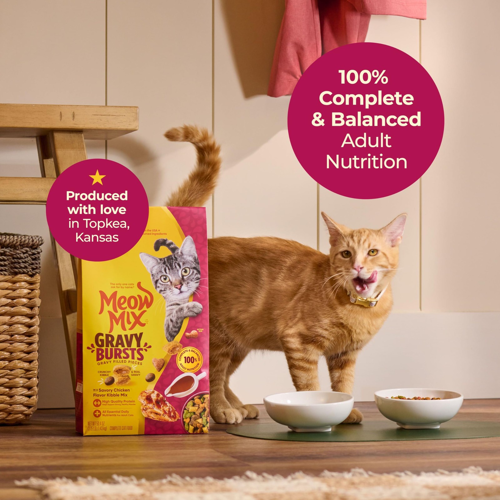Meow Mix Gravy Bursts Dry Cat Food, Chicken, 3 LB Bag 3 Pound (Pack of 1)