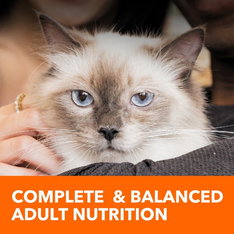Proactive Health Chicken Flavor Dry Cat Food Healthy Coat & Heart Nutrients New