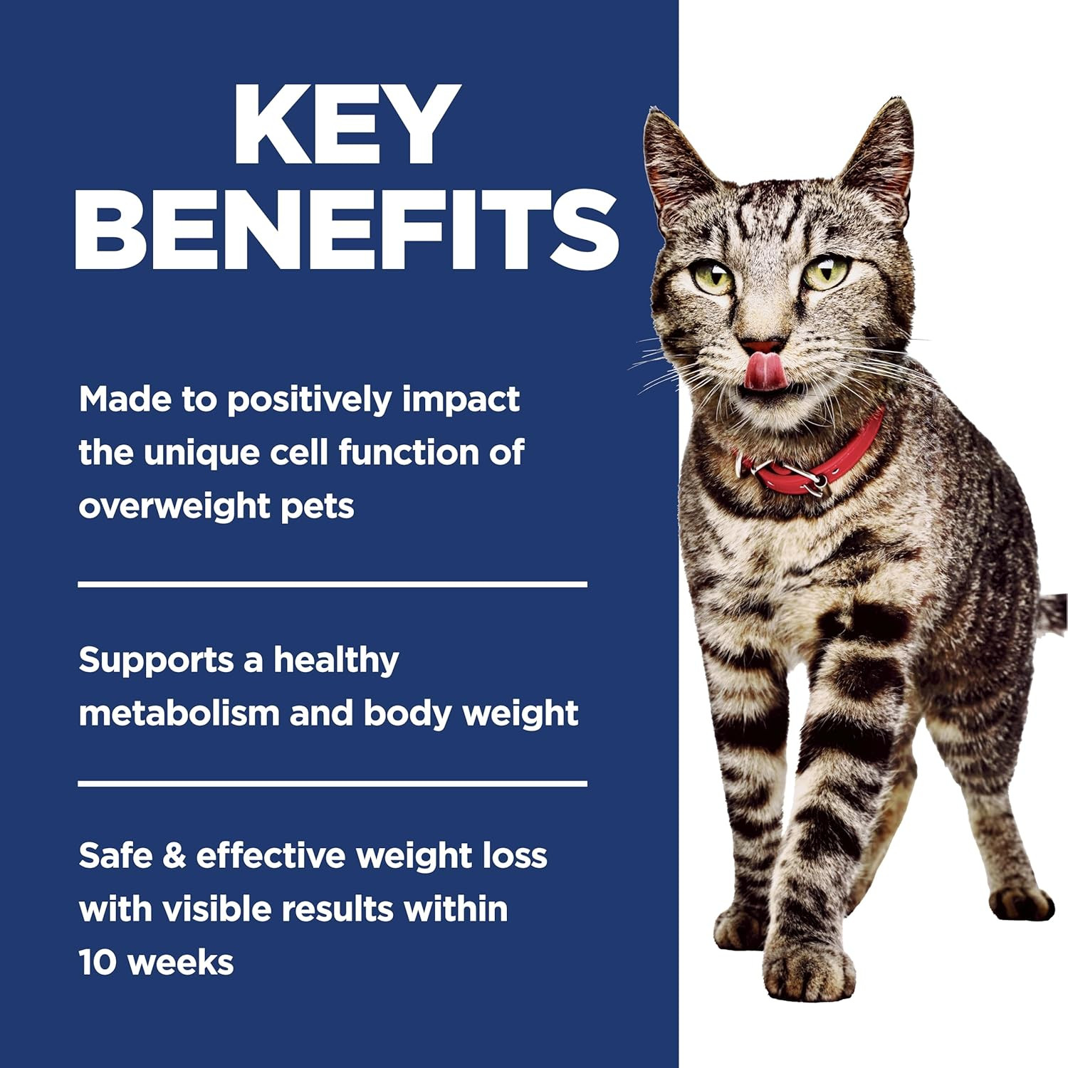 Hill’S Science Diet Adult Perfect Weight Dry Cat Food, Chicken, 3 Lb. Bag
