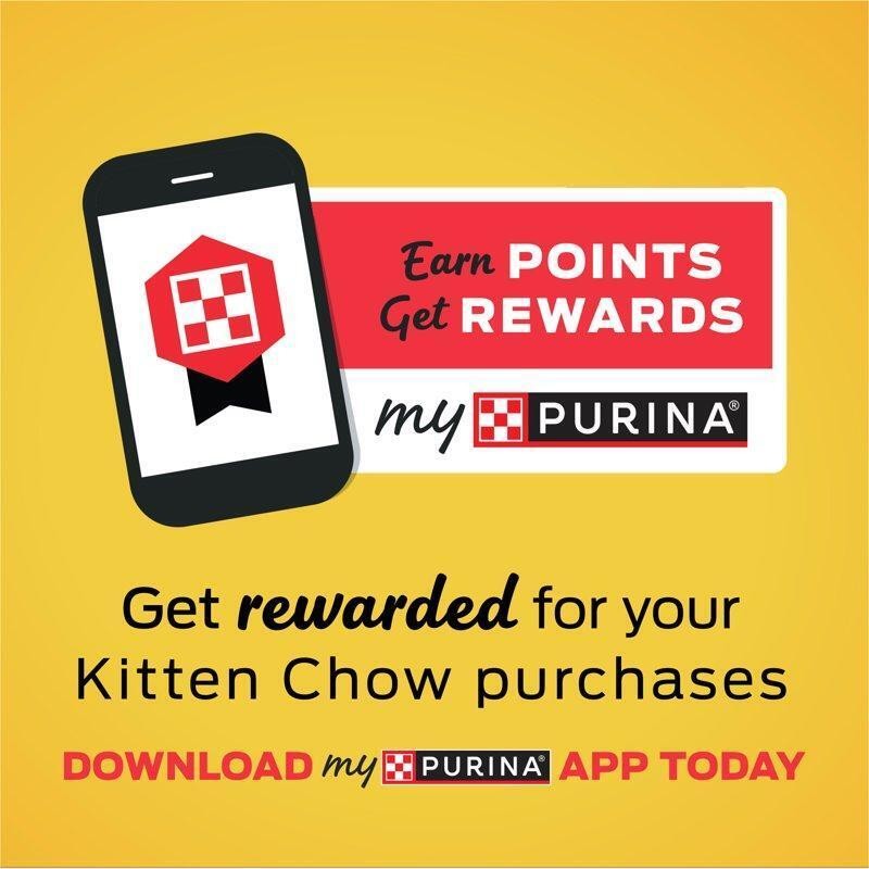 Real Chicken Kitten Chow Dry Cat Food 14lb Growth & Muscle Support All Sizes Pet