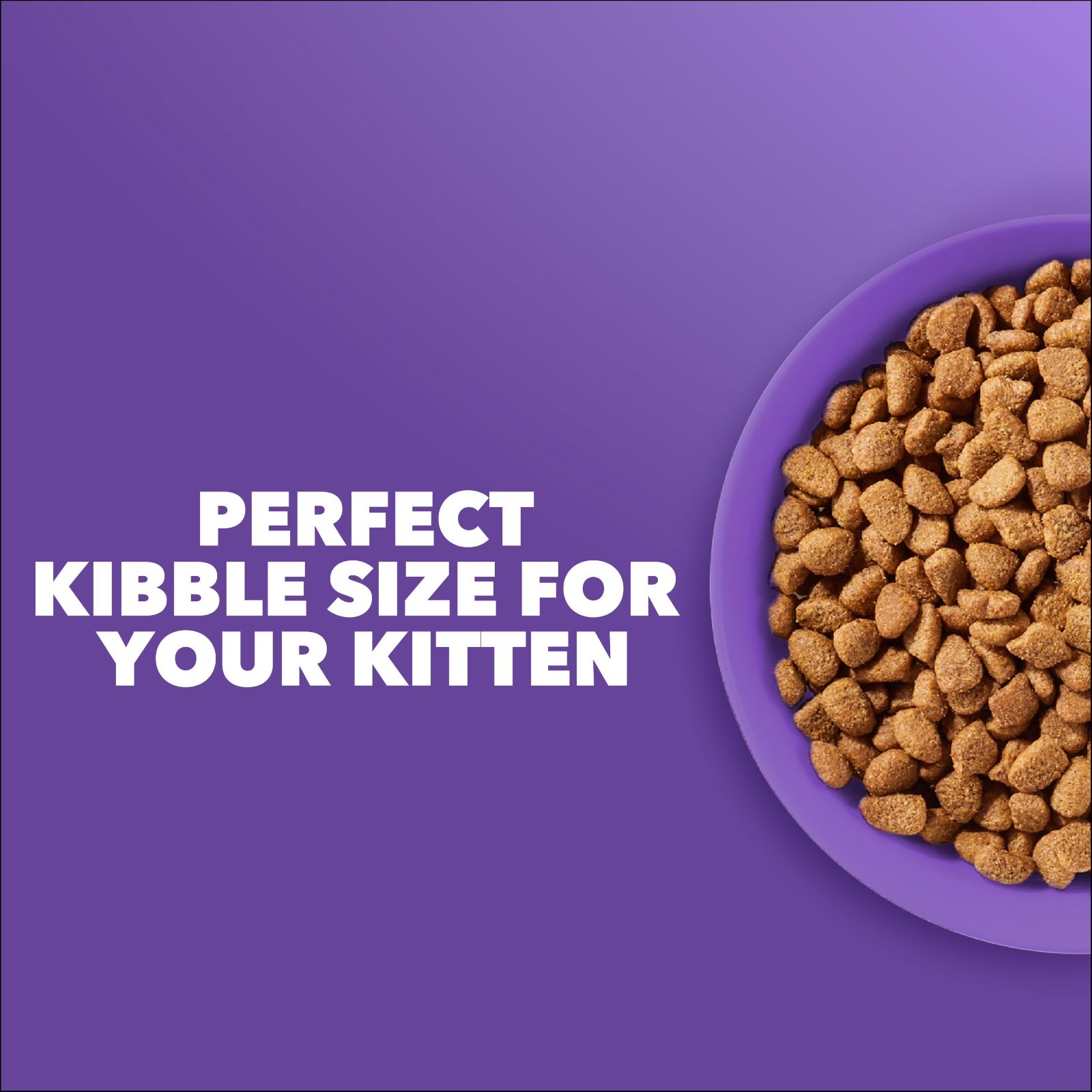 2 pack_IAMS Proactive Health 1-12 Months Healthy Kitten ,Salmon Kitten Food 7 lb