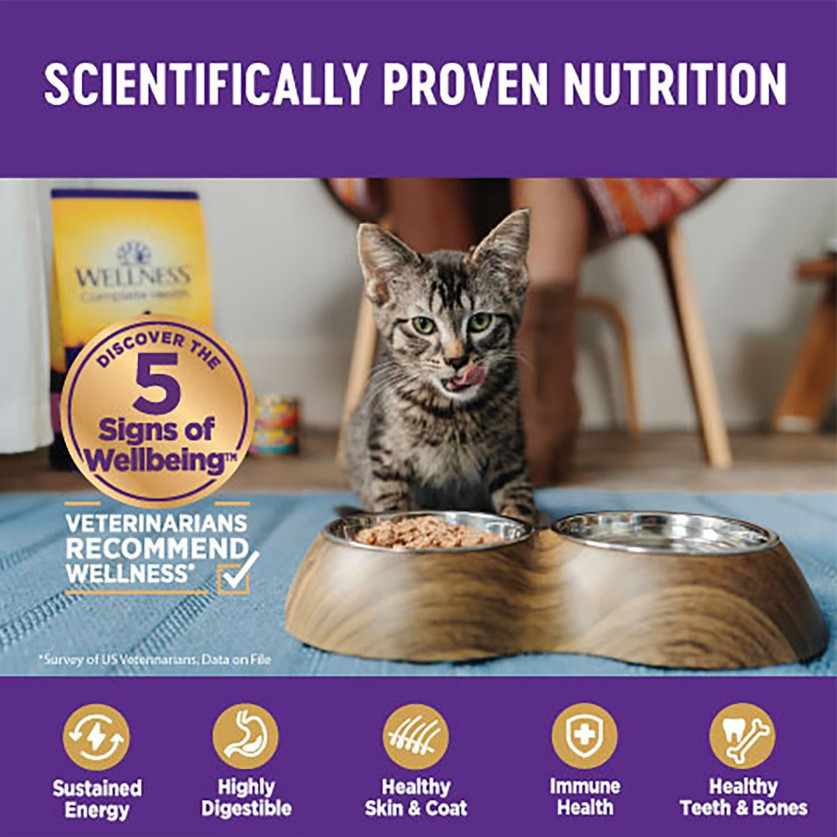 Wellness Complete Health Turkey & Salmon Pate Grain Free Wet Cat Food, 12 x 12oz