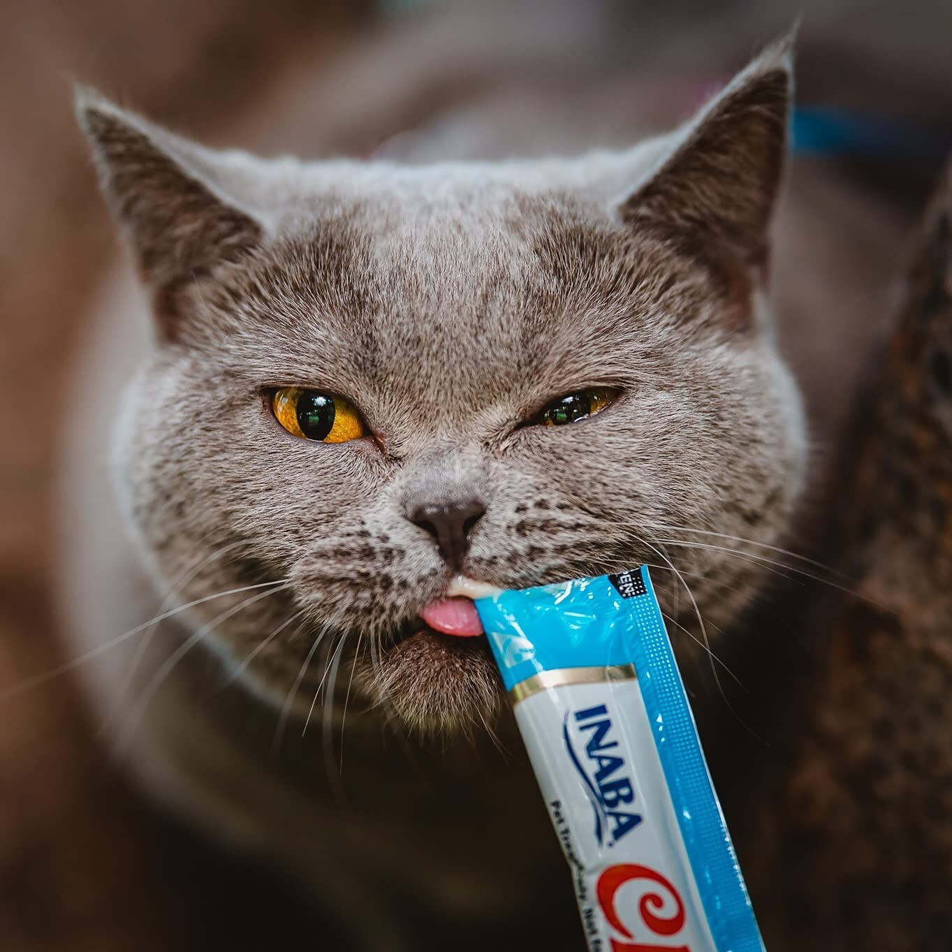 INABA Churu Cat Treats, Grain-Free, Lickable, Squeezable Creamy Purée Cat Treat