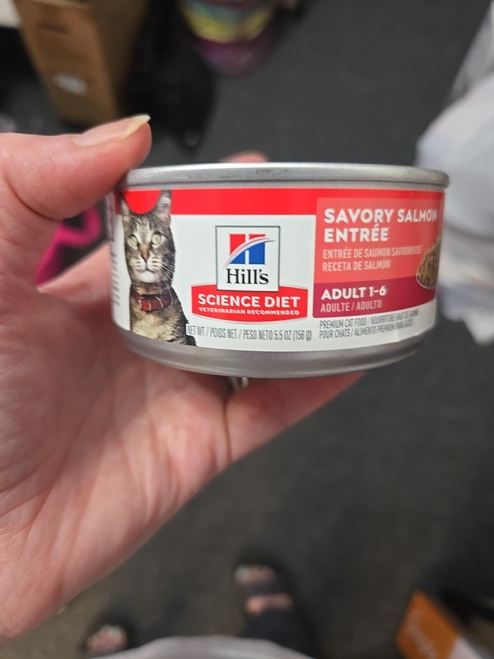 Hill’s Science Diet Savory Salmon Entree 20 5.5 Oz Cans Cat Food