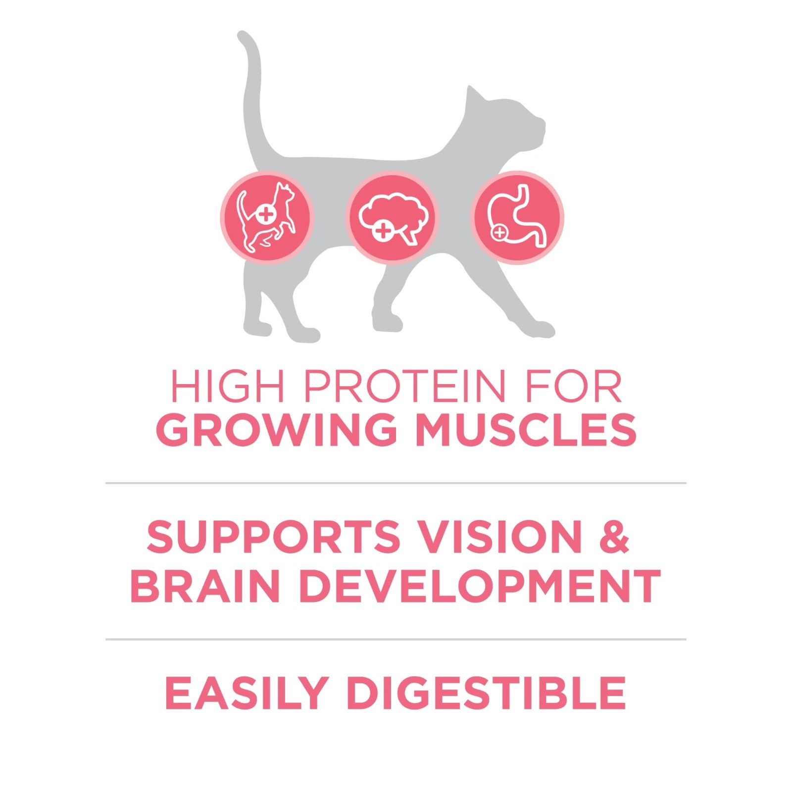 Purina ONE Plus, Healthy Kitten Formula, Dry Kitten Food, Chicken, 16 lb Bag