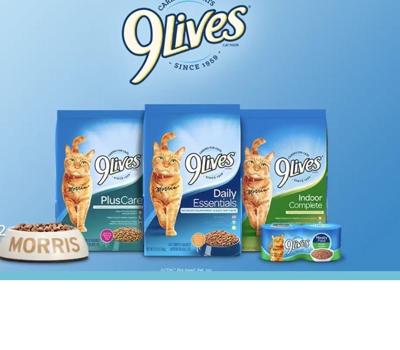9Lives Meaty Paté Real Chicken Wet Cat Food 6 Cans 5.5 oz Each