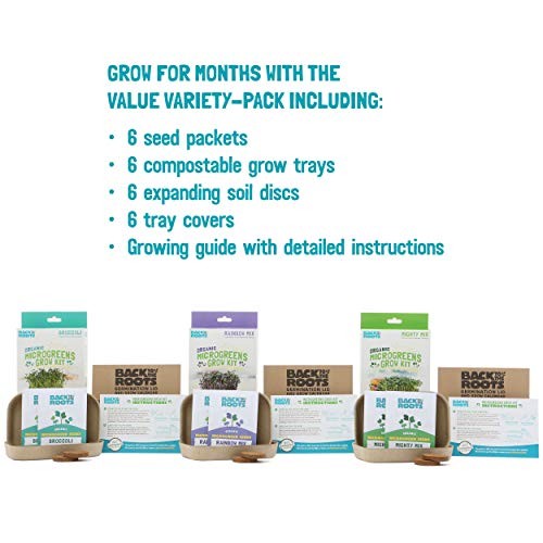 50041 DIY 6-Grow Variety Pack Organic Microgreens Kit, Indoor Gardening