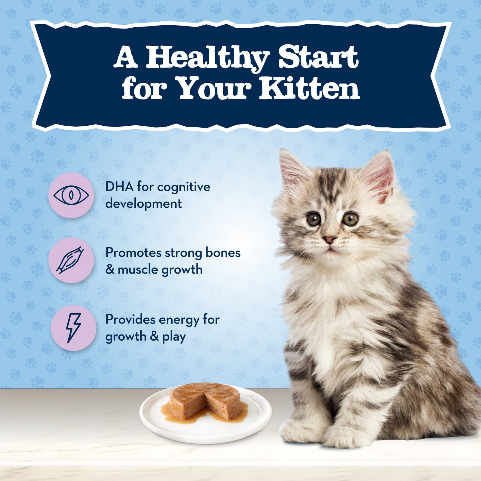 Natural Kitten Wet Cat Food Chicken Recipe Multi-Pack 3-oz Cans 6 Count