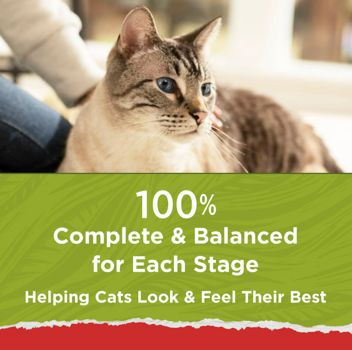 (2 pack) Purina Cat Chow Naturals, Dry Cat Food, Chicken & Salmon, 18 lb Bag
